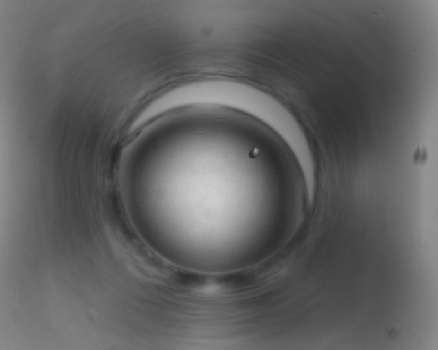 X0000114650312200910201514