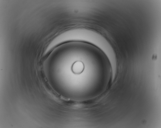 X0000114650313200910201514