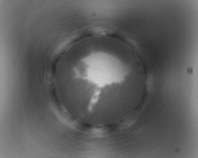 X0000114650314200910201514