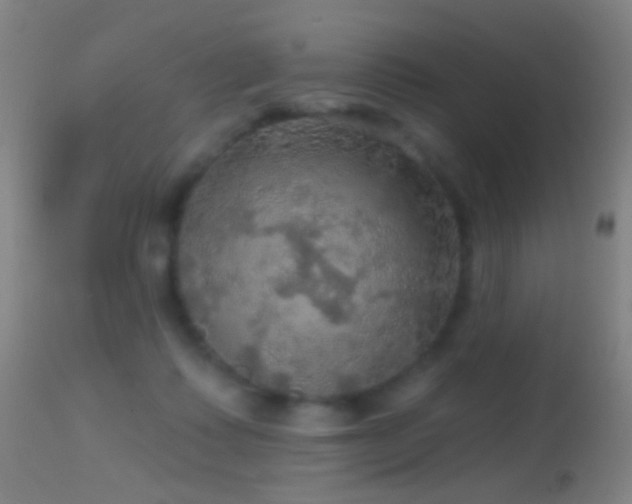 X0000114650315200910201514