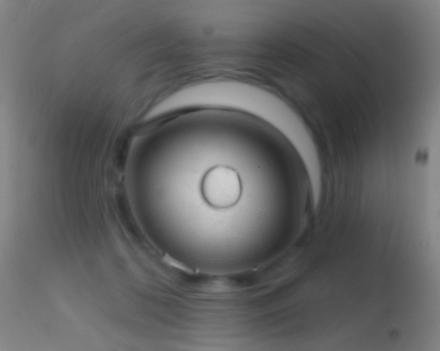 X0000114650316200910201514