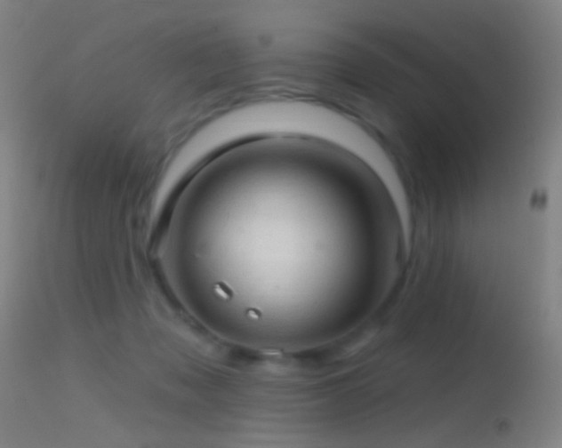 X0000114650317200910201514