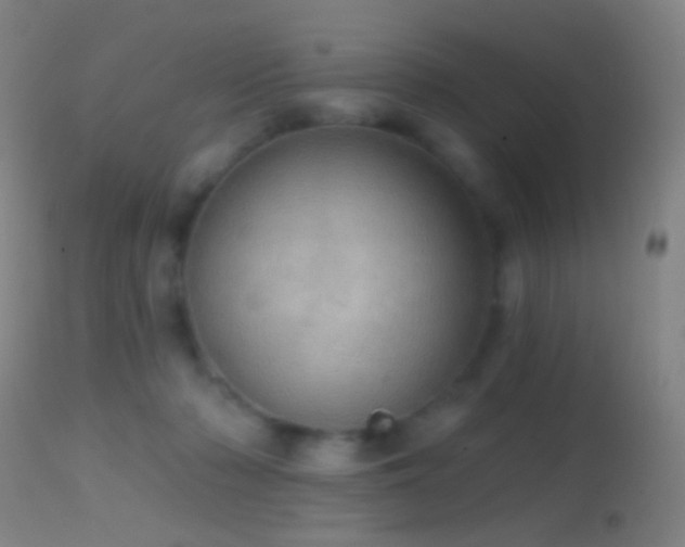 X0000114650318200910201514