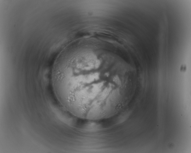 X0000114650319200910201514