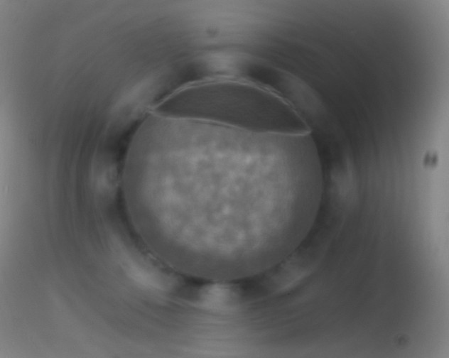 X0000114650320200910201514