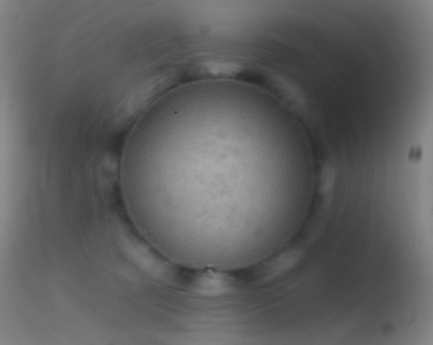 X0000114650321200910201514