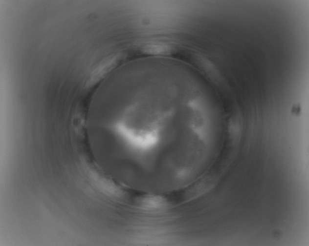 X0000114650322200910201514