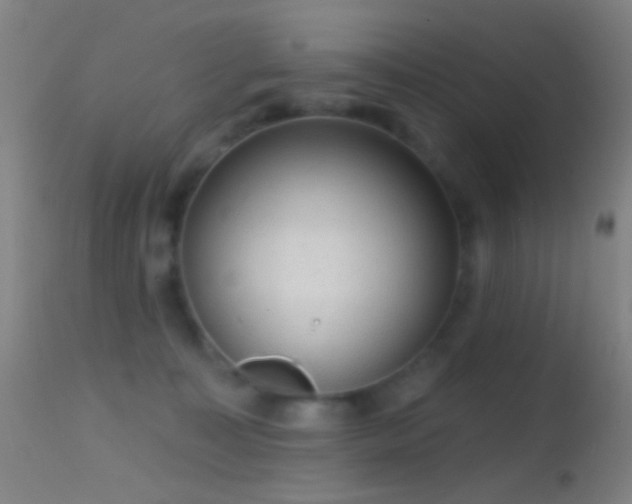 X0000114650323200910201514