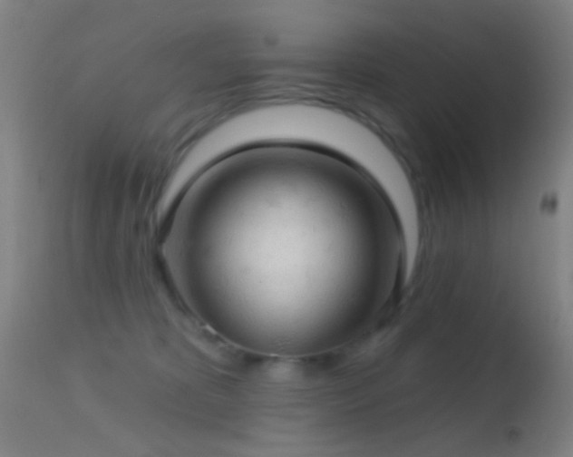 X0000114650325200910201514