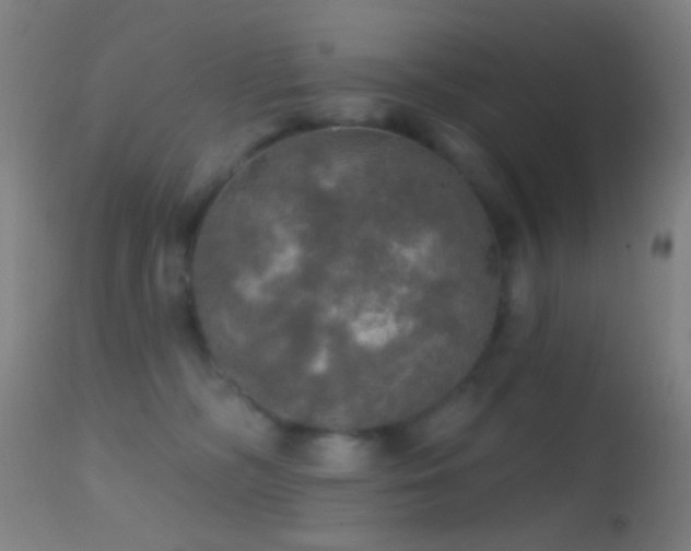 X0000114650326200910201514