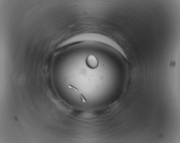 X0000114650327200910201514