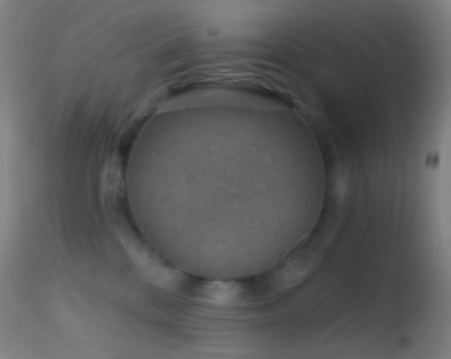 X0000114650328200910201514