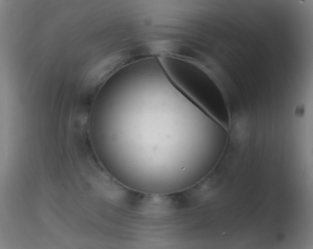 X0000114650329200910201514