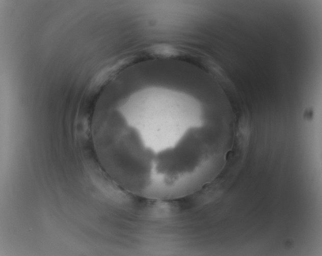 X0000114650330200910201514