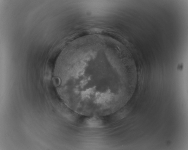 X0000114650331200910201514