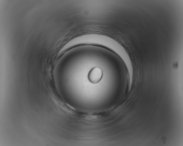 X0000114650332200910201514