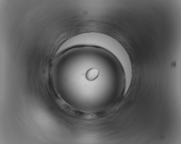 X0000114650333200910201514