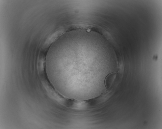 X0000114650334200910201514