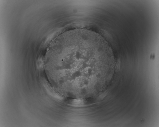 X0000114650335200910201514