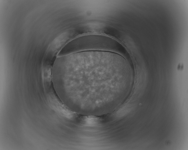 X0000114650336200910201514