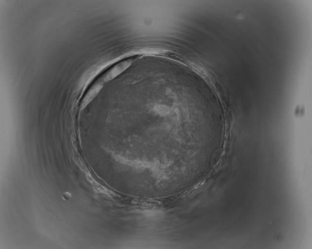 X0000114650337200910201513