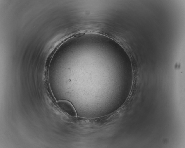 X0000114650338200910201513