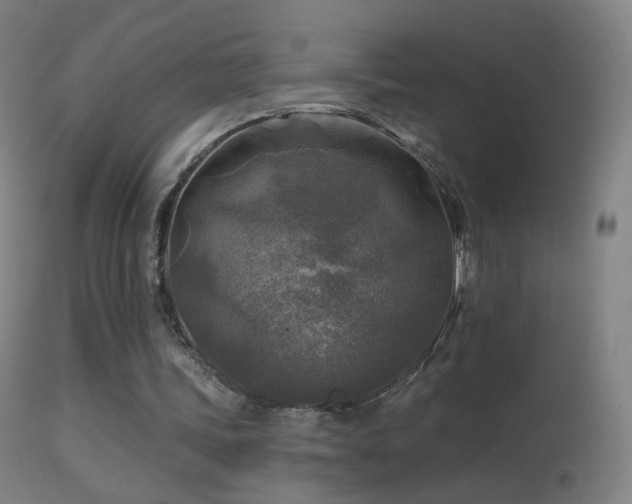 X0000114650339200910201513