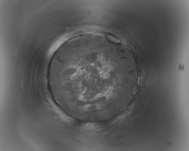 X0000114650341200910201513