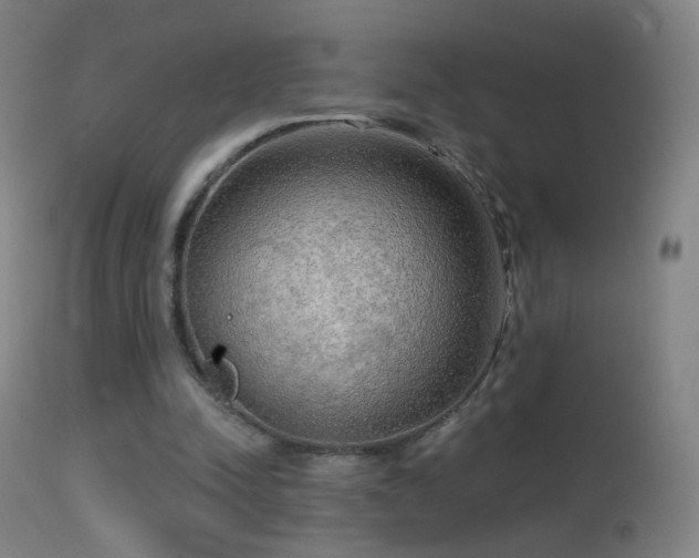 X0000114650342200910201513