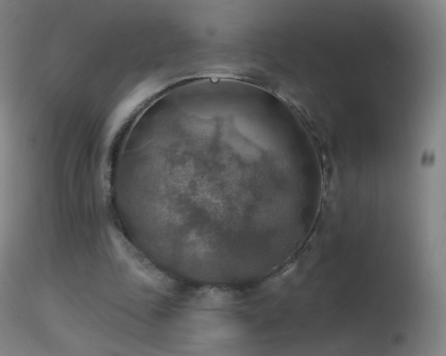 X0000114650343200910201513