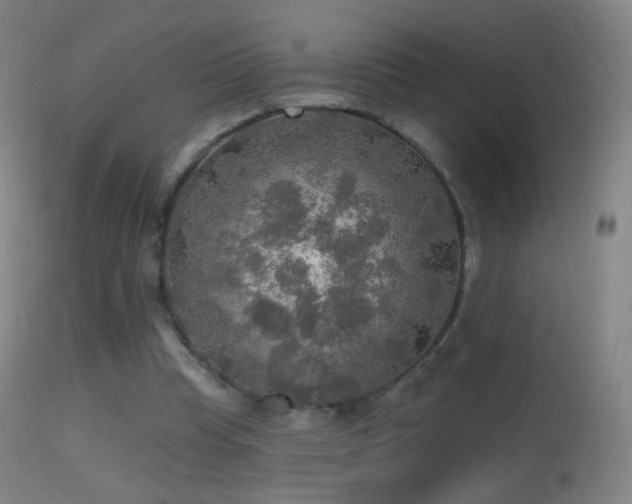 X0000114650345200910201513