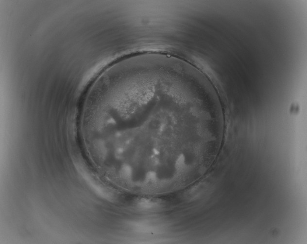 X0000114650346200910201513