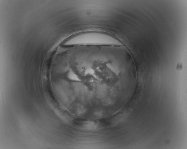 X0000114650347200910201513