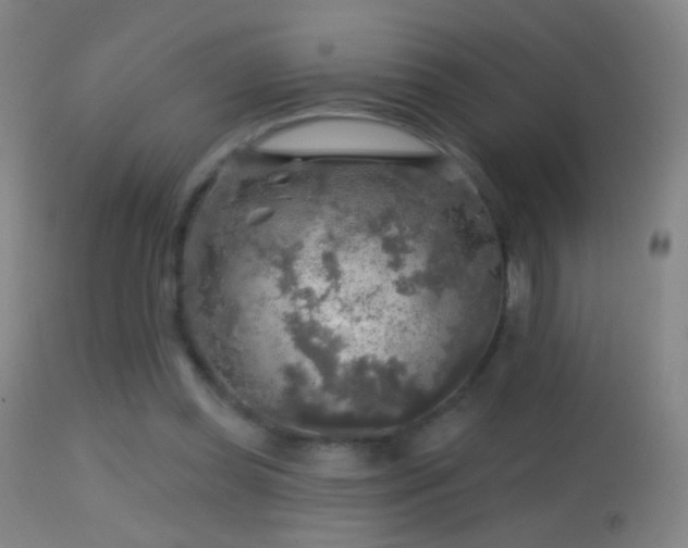 X0000114650349200910201513