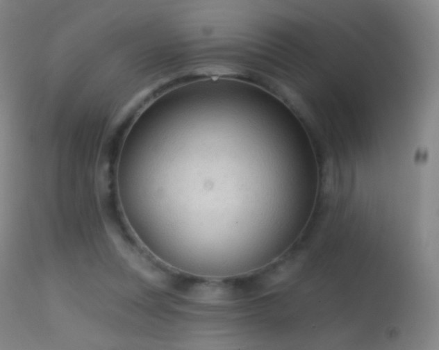 X0000114650351200910201513