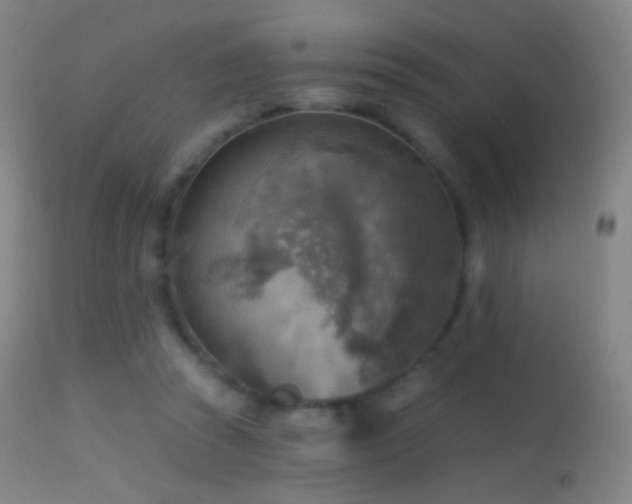 X0000114650353200910201513