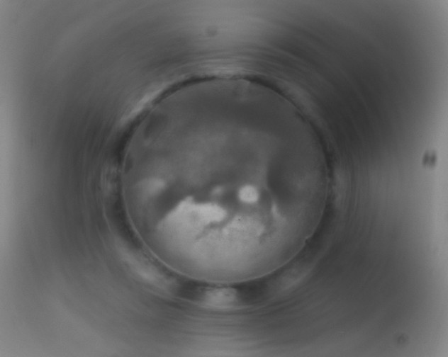 X0000114650355200910201513