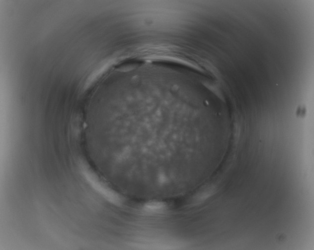 X0000114650357200910201513