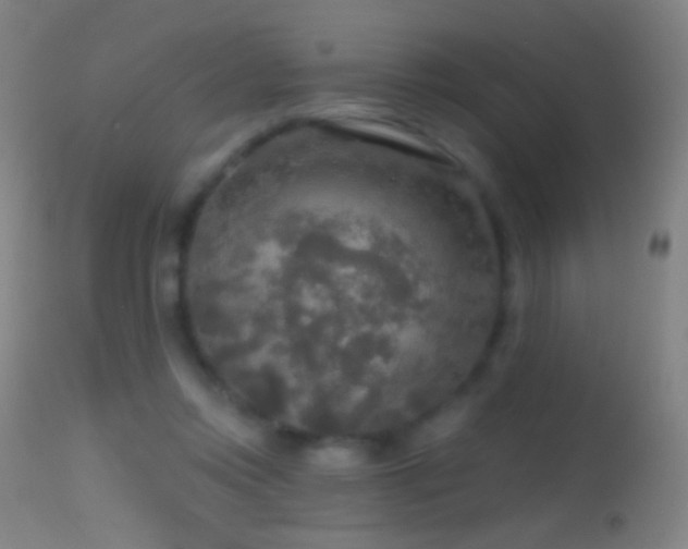 X0000114650358200910201513