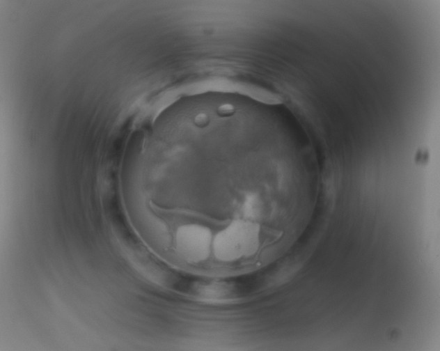 X0000114650359200910201513