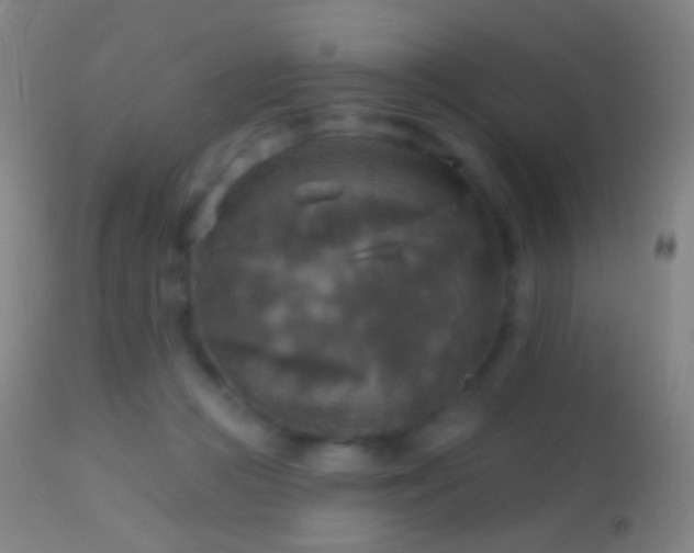 X0000114650361200910201513