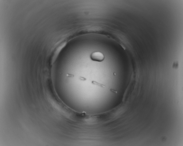 X0000114650362200910201513