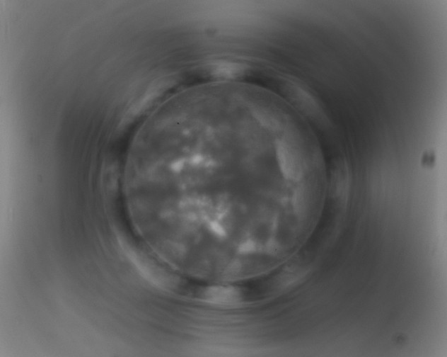 X0000114650363200910201513