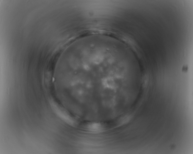 X0000114650365200910201513