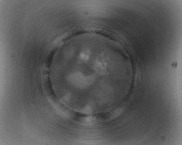 X0000114650366200910201513