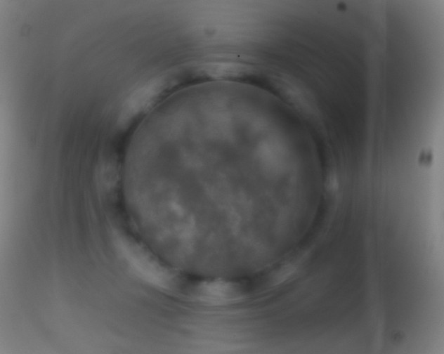 X0000114650367200910201513