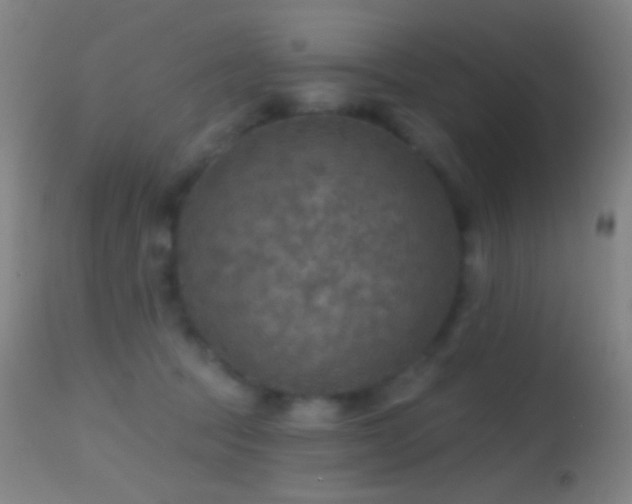 X0000114650369200910201513