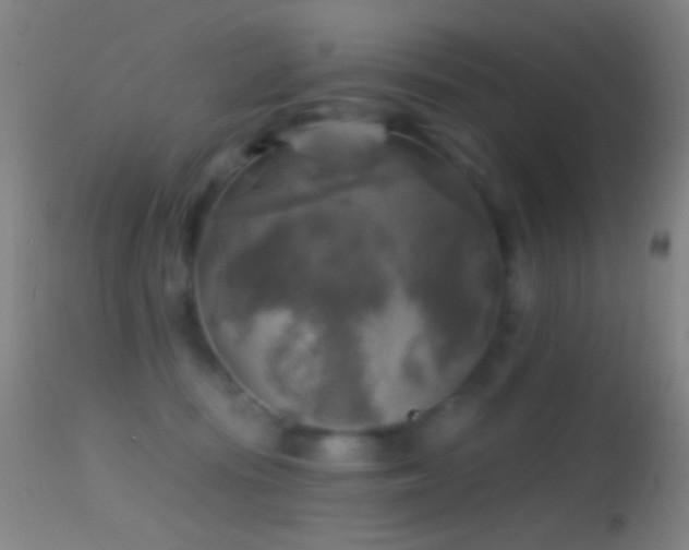 X0000114650371200910201513