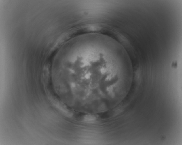 X0000114650373200910201513