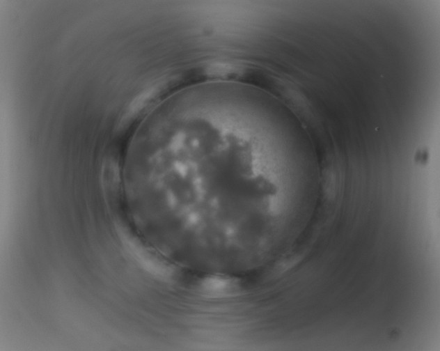 X0000114650375200910201514